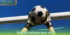 bong-da-the-gioi-truc-tiep