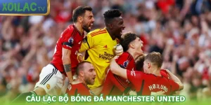 cau-lac-bo-bong-da-manchester-united