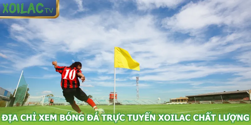dia-chi-xem-bong-da-truc-tuyen-xoilac-chat-luong
