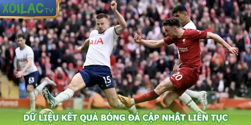 du-lieu-ket-qua-bong-da-cap-nhat-lien-tuc