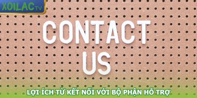 loi-ich-tu-ket-noi-voi-bo-phan-ho-tro
