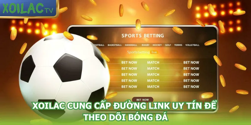 xoilac-cung-cap-duong-link-uy-tin-de-theo-doi-bong-da